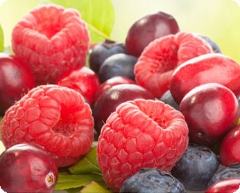 importance_of_antioxidants